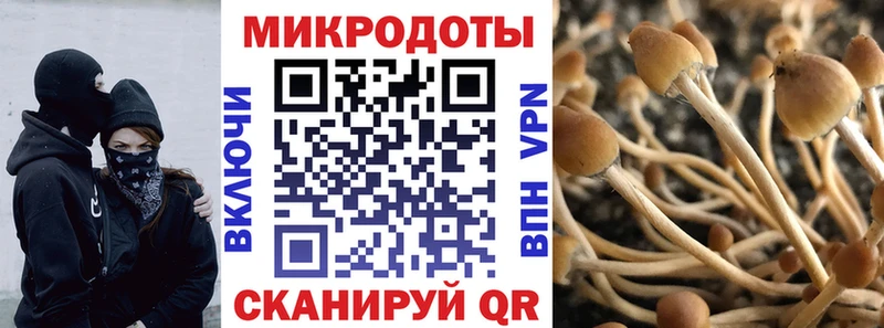 Псилоцибиновые грибы MAGIC MUSHROOMS Сортавала