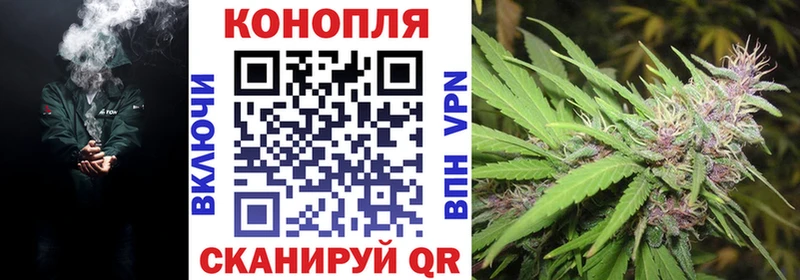 Бошки марихуана гибрид  нарко площадка официальный сайт  Сортавала 